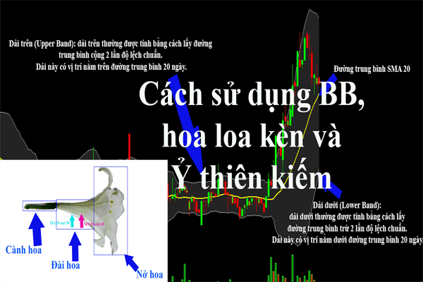 Hướng dẫn sử dụng Bollinger bands. Cách sử dụng hiệu quả? 1 Hướng dẫn sử dụng Bollinger bands. Cách sử dụng hiệu quả?