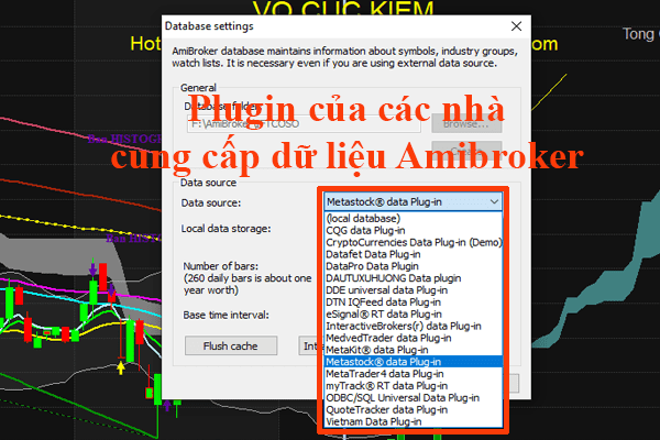 9 Lỗi Amibroker không cập nhật dữ liệu nguyên nhân và cách khắc phục 6 Lựa chon Plugin không đúng cũ sẽ làm lỗi Amibroker không cập nhật dữ liệu